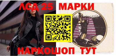 гидропоника Новокубанск