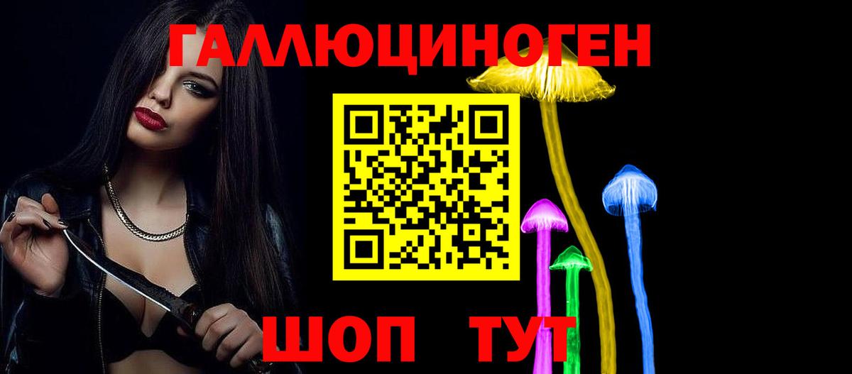 Псилоцибиновые грибы GOLDEN TEACHER Тула